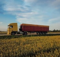 Truck in a corn field