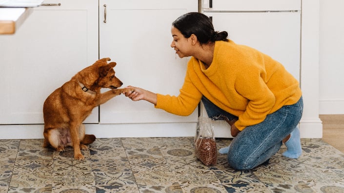 woman shaking dogs hand