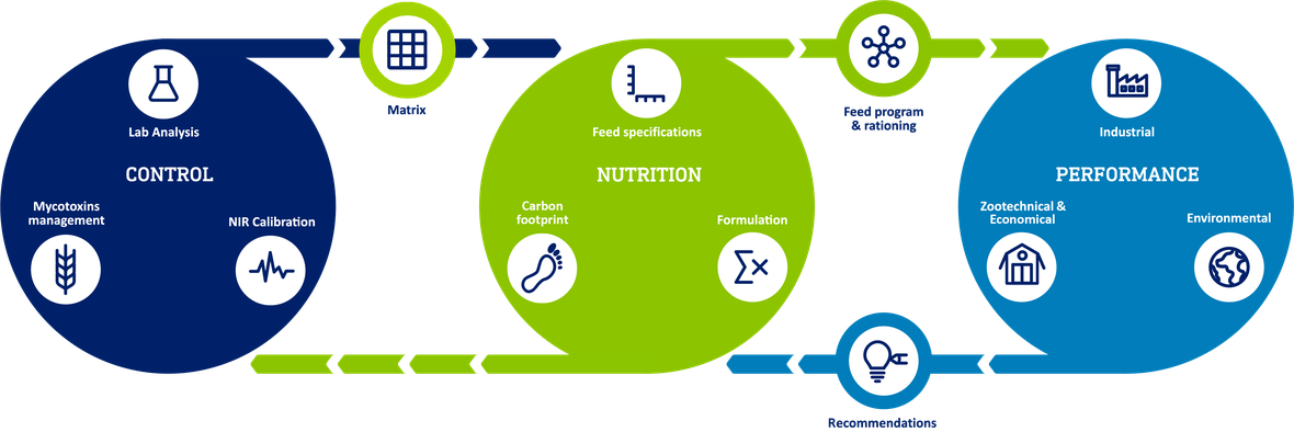 ADM SINCRO Wheel, ADM AN services